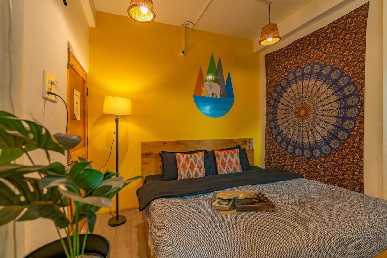 Nomads Hostel 卡索尔 外观 照片